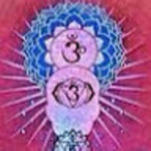 Meet your Posher, Astrid